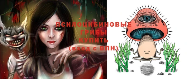 спайс Абинск