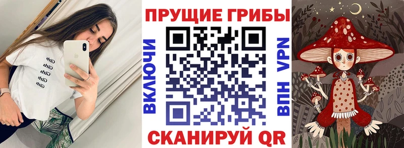 Галлюциногенные грибы GOLDEN TEACHER  сколько стоит  Чкаловск 